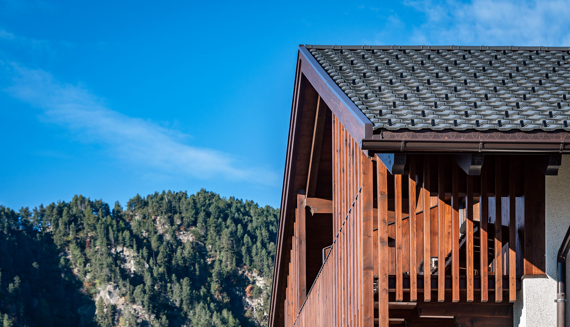 Dachbau Suedtirol 05